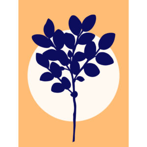 Sprig