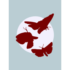 Lunar Moths