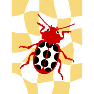 Scarab