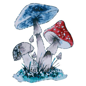 Woodland Mushrooms