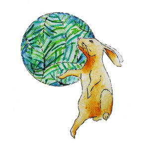 Bunny Hop