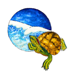 Turtle in the Waves